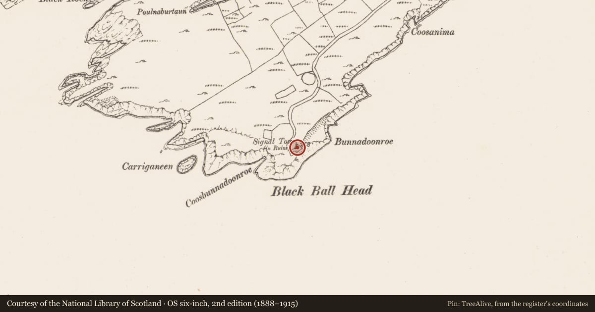 Ordnance Survey six-inch map, 2nd edition (1888–1915) covering the location of Signal tower, Canalough, County Cork, with a pin at the register's coordinates