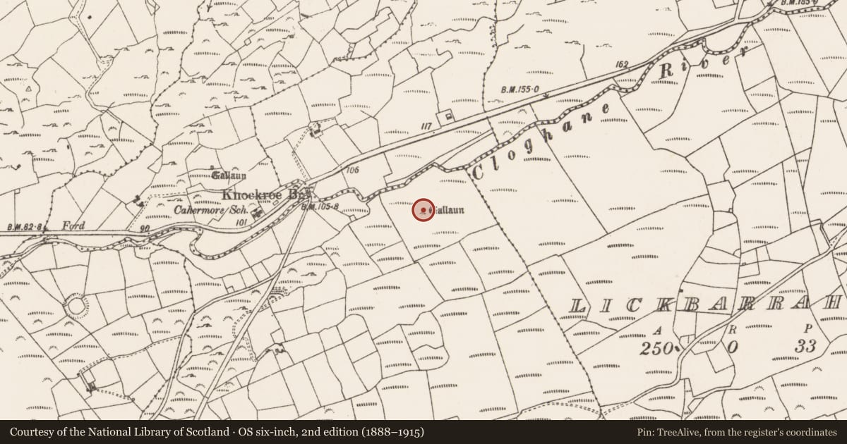 Ordnance Survey six-inch map, 2nd edition (1888–1915) covering the location of Standing stone, Canalough, County Cork, with a pin at the register's coordinates
