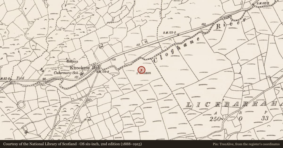 Ordnance Survey six-inch map, 2nd edition (1888–1915) covering the location of Standing stone, Canalough, County Cork, with a pin at the register's coordinates
