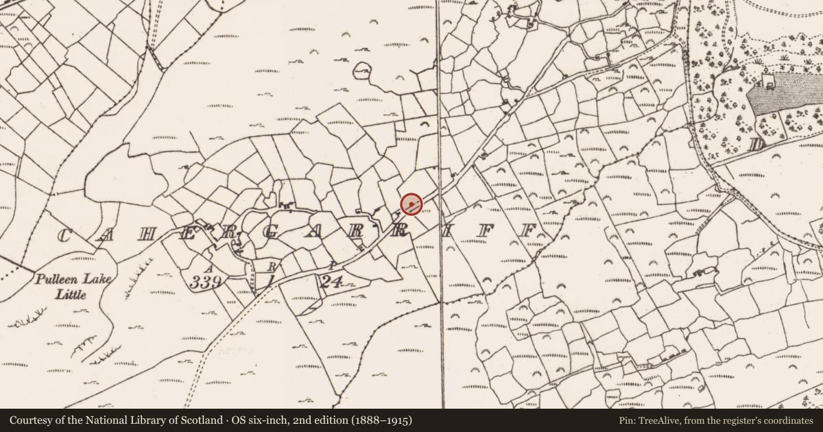 Ordnance Survey six-inch map, 2nd edition (1888–1915) covering the location of Hut site, Cahergarriff, County Cork, with a pin at the register's coordinates