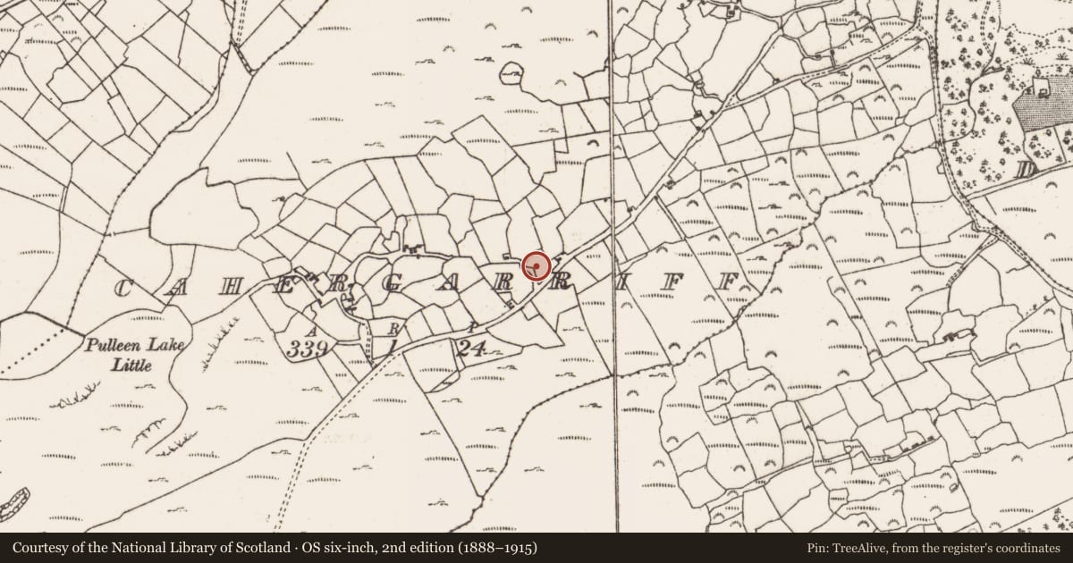 Ordnance Survey six-inch map, 2nd edition (1888–1915) covering the location of Ringfort - cashel, Cahergarriff, County Cork, with a pin at the register's coordinates