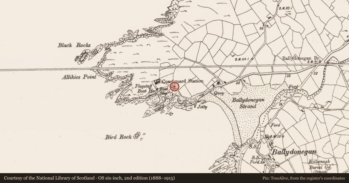Ordnance Survey six-inch map, 2nd edition (1888–1915) covering the location of Enclosure, Allihies, County Cork, with a pin at the register's coordinates