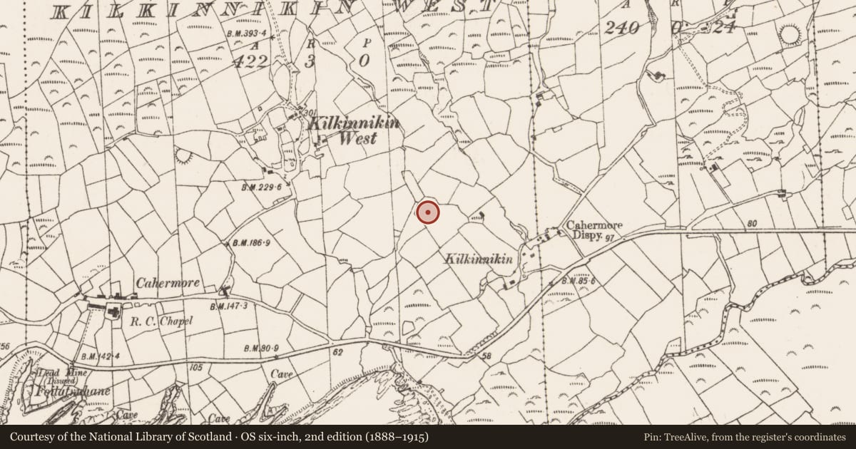 Ordnance Survey six-inch map, 2nd edition (1888–1915) covering the location of Hut site, Kilkinnikin West, County Cork, with a pin at the register's coordinates