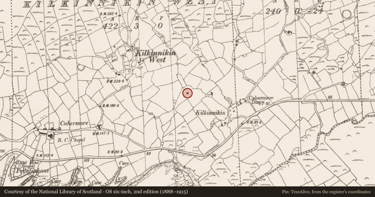 Ordnance Survey six-inch map, 2nd edition (1888–1915) covering the location of Standing stone, Kilkinnikin West, County Cork, with a pin at the register's coordinates