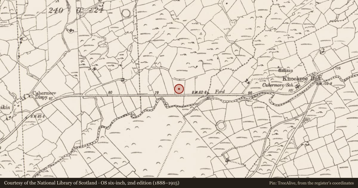 Ordnance Survey six-inch map, 2nd edition (1888–1915) covering the location of Barrow - embanked barrow, Knockroe West, County Cork, with a pin at the register's coordinates