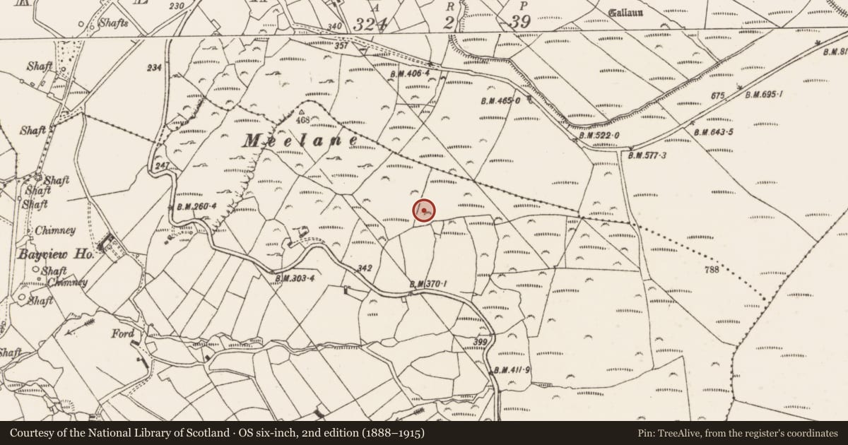 Ordnance Survey six-inch map, 2nd edition (1888–1915) covering the location of Standing stone - pair, Cahermeeleboe, County Cork, with a pin at the register's coordinates