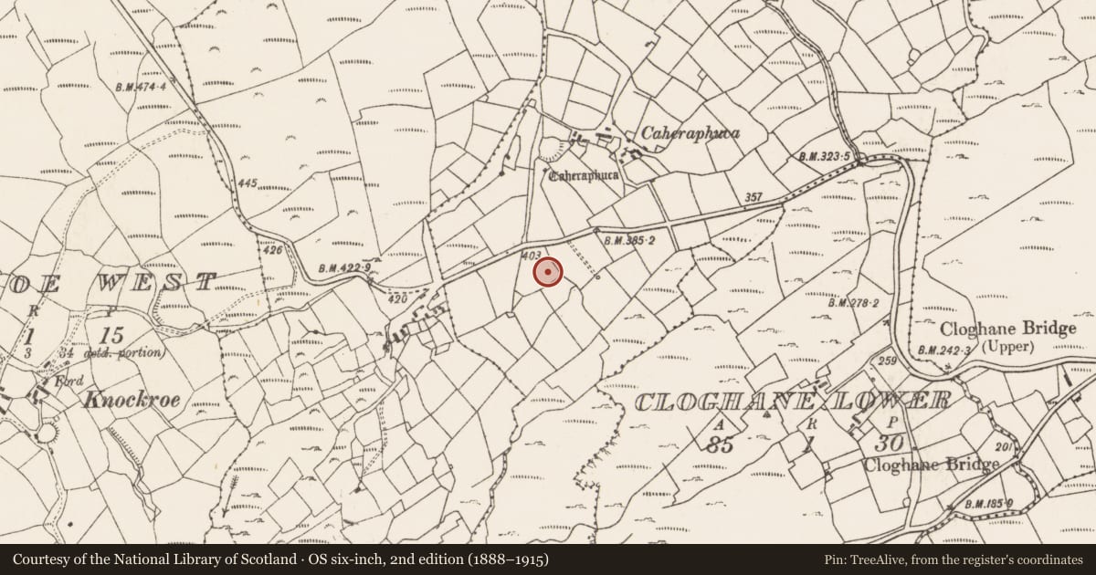 Ordnance Survey six-inch map, 2nd edition (1888–1915) covering the location of Ringfort - rath, Knockroe East, County Cork, with a pin at the register's coordinates