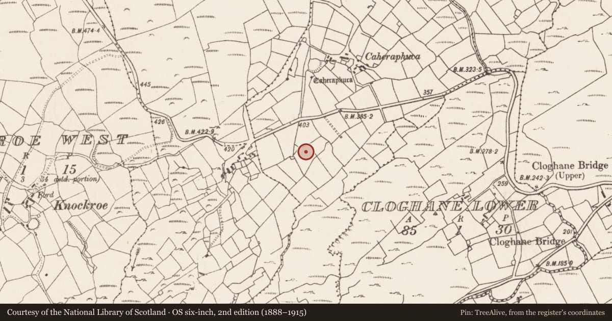 Ordnance Survey six-inch map, 2nd edition (1888–1915) covering the location of Anomalous stone group, Knockroe East, County Cork, with a pin at the register's coordinates