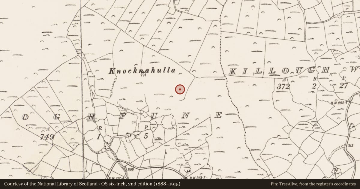 Ordnance Survey six-inch map, 2nd edition (1888–1915) covering the location of Standing stone - pair, Cloghfune, County Cork, with a pin at the register's coordinates