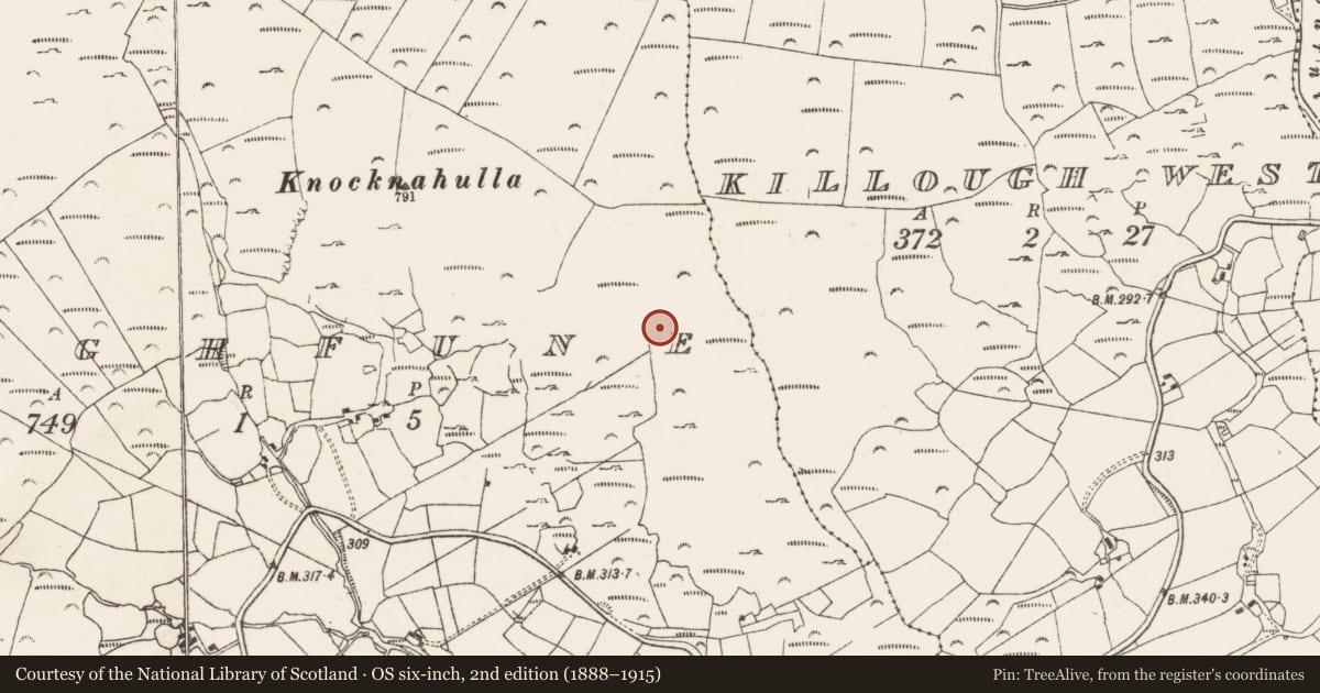 Ordnance Survey six-inch map, 2nd edition (1888–1915) covering the location of Cross-inscribed stone, Cloghfune, County Cork, with a pin at the register's coordinates