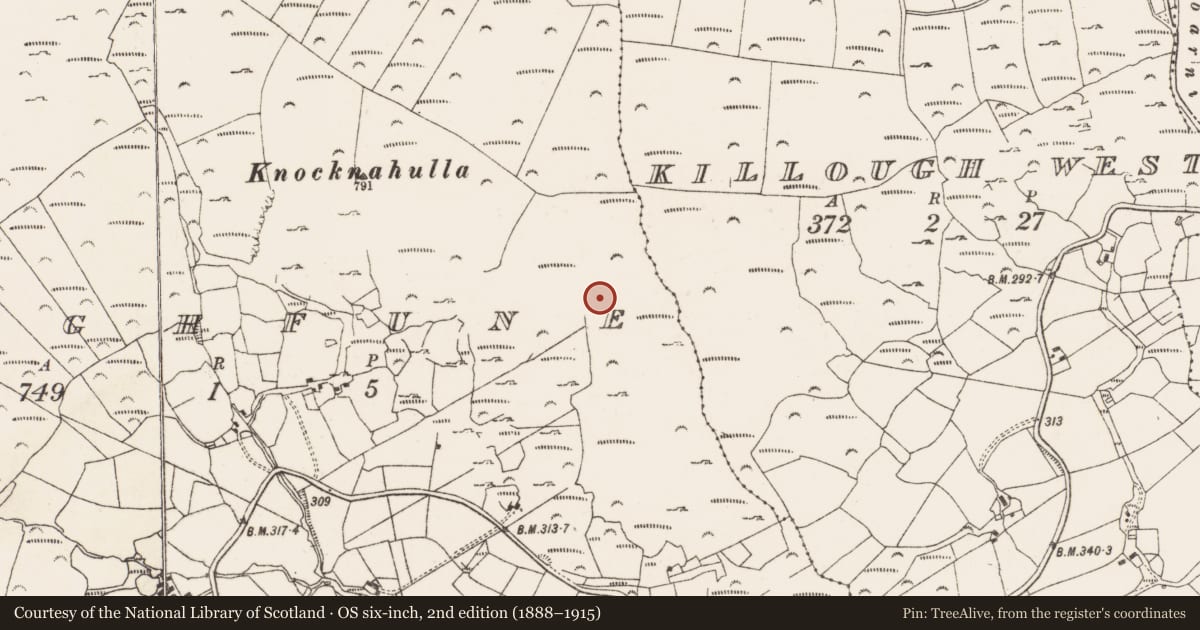 Ordnance Survey six-inch map, 2nd edition (1888–1915) covering the location of Penitential station, Cloghfune, County Cork, with a pin at the register's coordinates