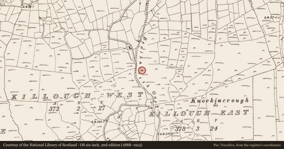 Ordnance Survey six-inch map, 2nd edition (1888–1915) covering the location of Bullaun stone, Killough East, County Cork, with a pin at the register's coordinates