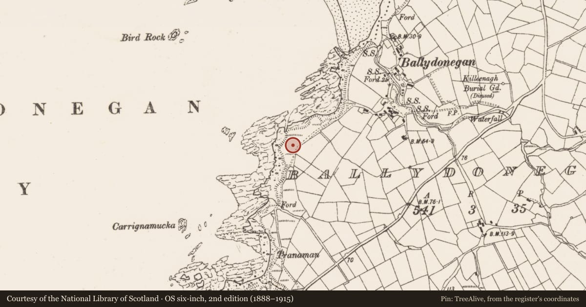 Ordnance Survey six-inch map, 2nd edition (1888–1915) covering the location of Penitential station, Ballydonegan, County Cork, with a pin at the register's coordinates