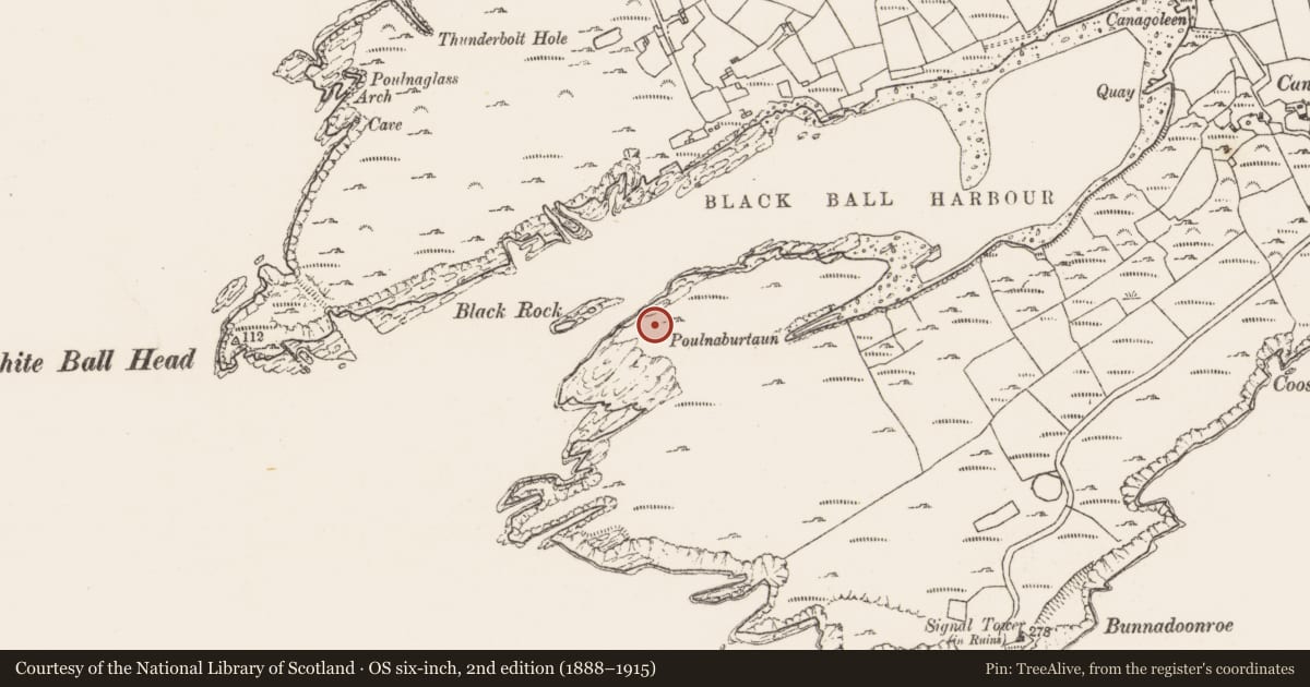Ordnance Survey six-inch map, 2nd edition (1888–1915) covering the location of Hut site, Canalough, County Cork, with a pin at the register's coordinates