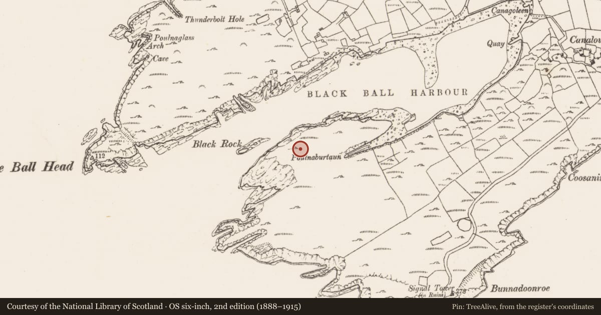Ordnance Survey six-inch map, 2nd edition (1888–1915) covering the location of Hut site, Canalough, County Cork, with a pin at the register's coordinates