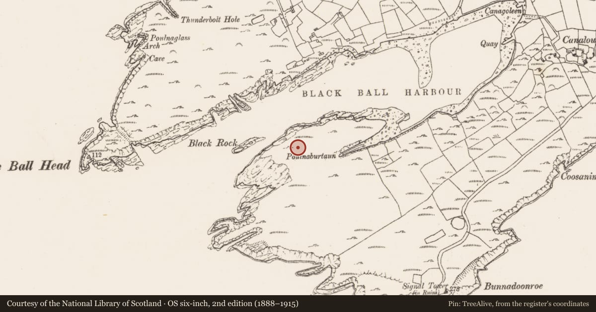 Ordnance Survey six-inch map, 2nd edition (1888–1915) covering the location of Hut site, Canalough, County Cork, with a pin at the register's coordinates