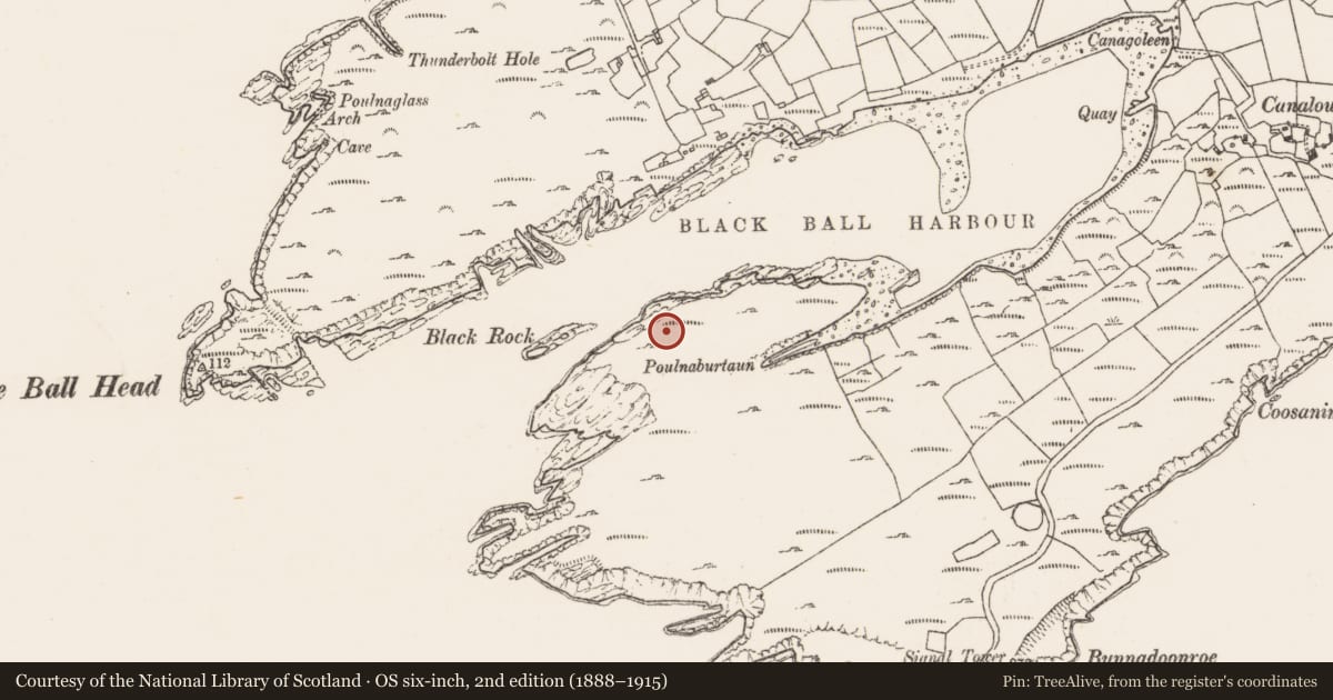 Ordnance Survey six-inch map, 2nd edition (1888–1915) covering the location of Hut site, Canalough, County Cork, with a pin at the register's coordinates