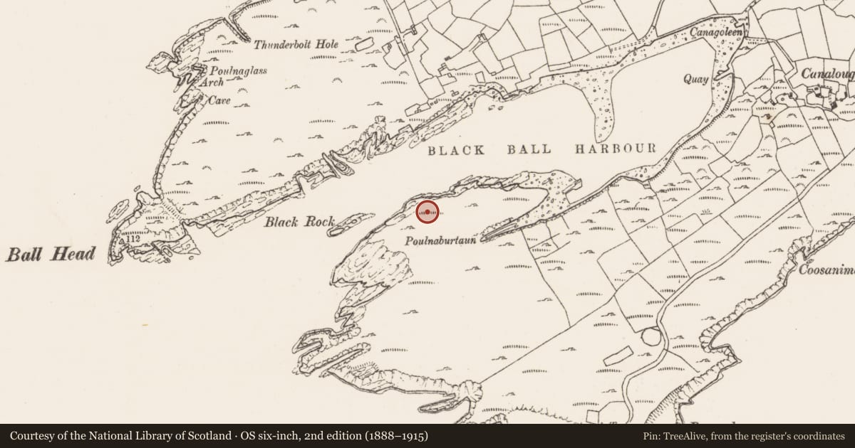Ordnance Survey six-inch map, 2nd edition (1888–1915) covering the location of Hut site, Canalough, County Cork, with a pin at the register's coordinates