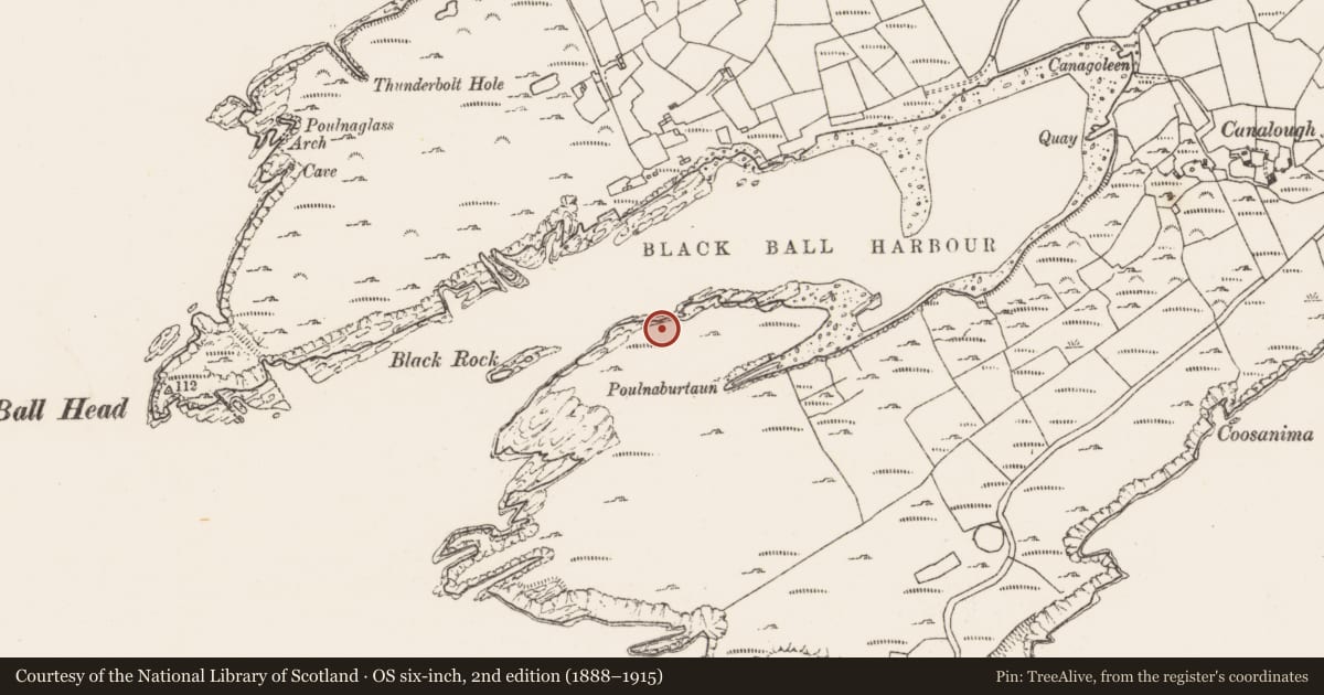 Ordnance Survey six-inch map, 2nd edition (1888–1915) covering the location of Hut site, Canalough, County Cork, with a pin at the register's coordinates