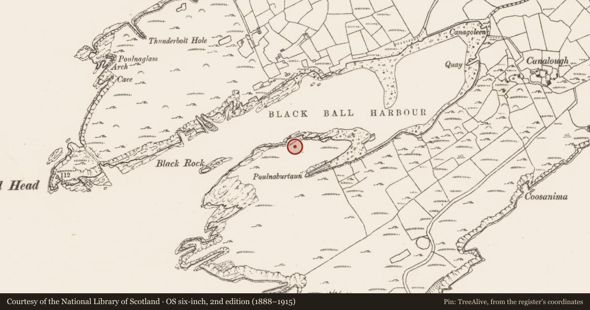 Ordnance Survey six-inch map, 2nd edition (1888–1915) covering the location of Hut site, Canalough, County Cork, with a pin at the register's coordinates