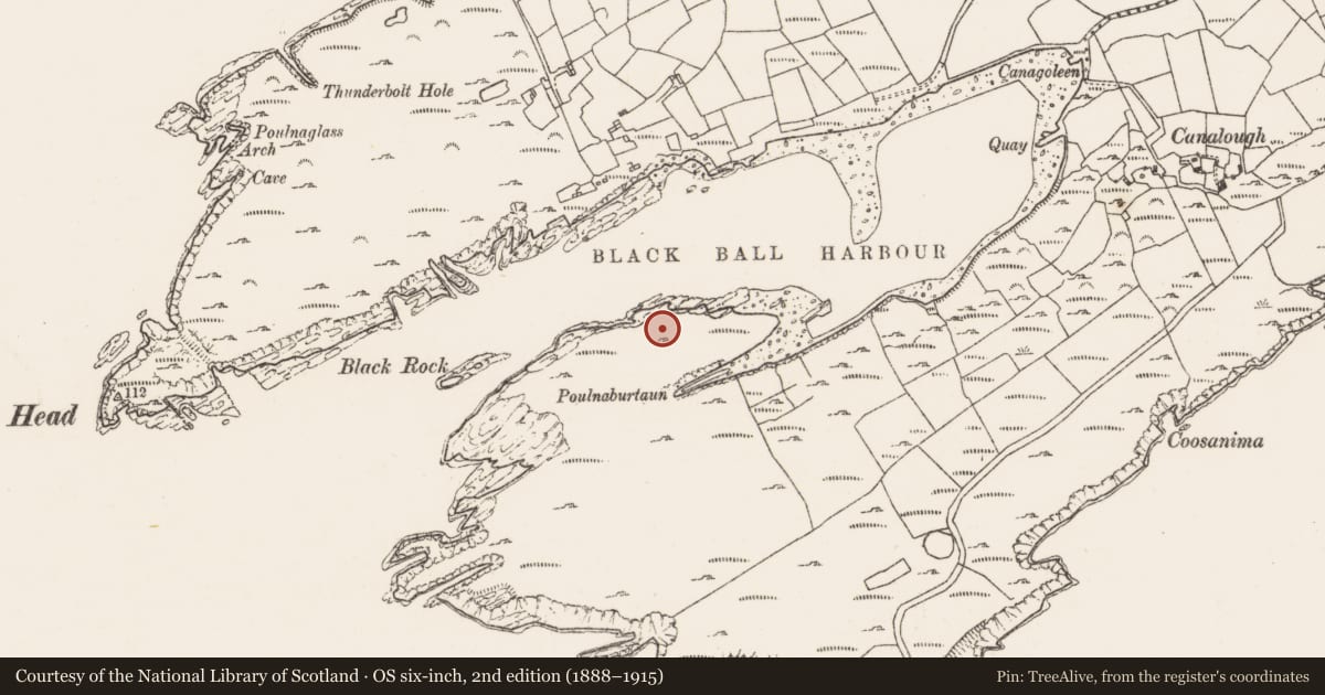 Ordnance Survey six-inch map, 2nd edition (1888–1915) covering the location of Hut site, Canalough, County Cork, with a pin at the register's coordinates