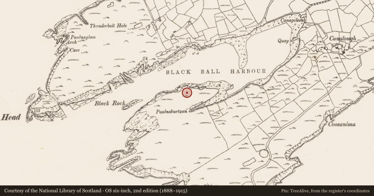 Ordnance Survey six-inch map, 2nd edition (1888–1915) covering the location of Hut site, Canalough, County Cork, with a pin at the register's coordinates