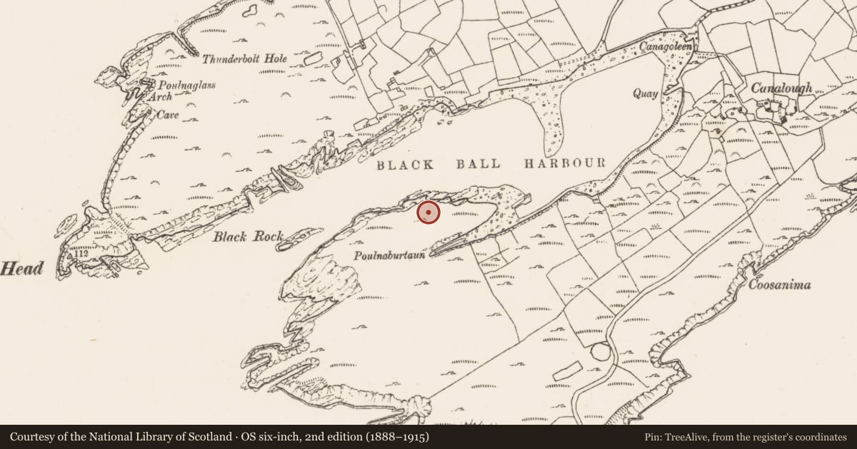 Ordnance Survey six-inch map, 2nd edition (1888–1915) covering the location of Hut site, Canalough, County Cork, with a pin at the register's coordinates