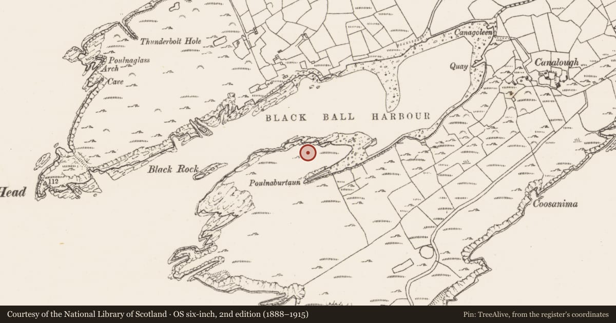 Ordnance Survey six-inch map, 2nd edition (1888–1915) covering the location of Hut site, Canalough, County Cork, with a pin at the register's coordinates