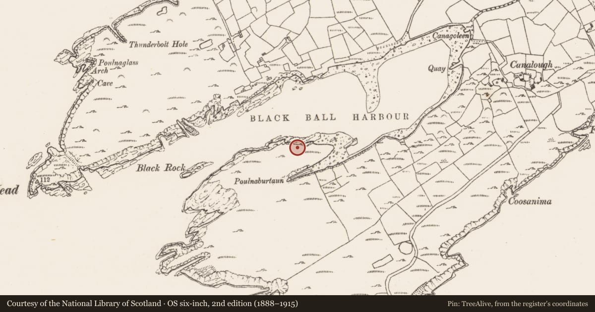 Ordnance Survey six-inch map, 2nd edition (1888–1915) covering the location of Hut site, Canalough, County Cork, with a pin at the register's coordinates