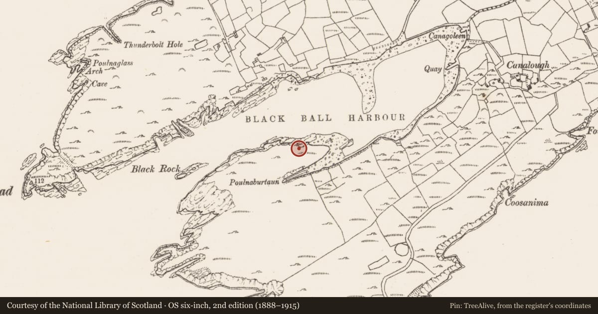 Ordnance Survey six-inch map, 2nd edition (1888–1915) covering the location of Hut site, Canalough, County Cork, with a pin at the register's coordinates