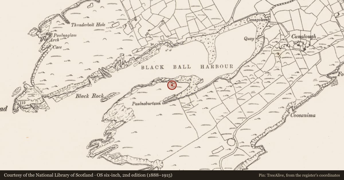 Ordnance Survey six-inch map, 2nd edition (1888–1915) covering the location of Hut site, Canalough, County Cork, with a pin at the register's coordinates