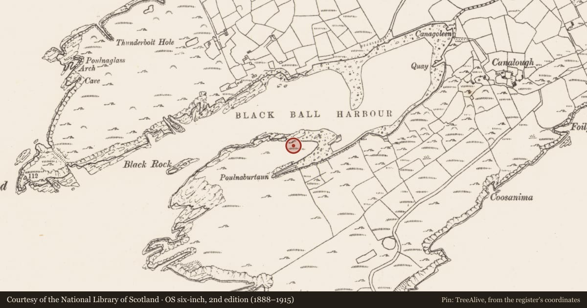 Ordnance Survey six-inch map, 2nd edition (1888–1915) covering the location of Hut site, Canalough, County Cork, with a pin at the register's coordinates