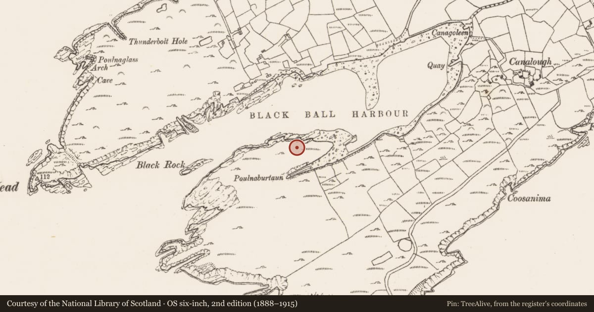 Ordnance Survey six-inch map, 2nd edition (1888–1915) covering the location of Hut site, Canalough, County Cork, with a pin at the register's coordinates