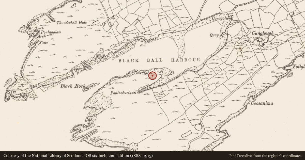 Ordnance Survey six-inch map, 2nd edition (1888–1915) covering the location of Hut site, Canalough, County Cork, with a pin at the register's coordinates