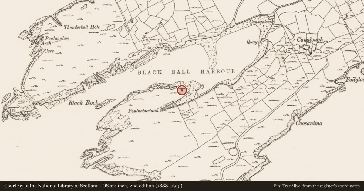 Ordnance Survey six-inch map, 2nd edition (1888–1915) covering the location of Hut site, Canalough, County Cork, with a pin at the register's coordinates
