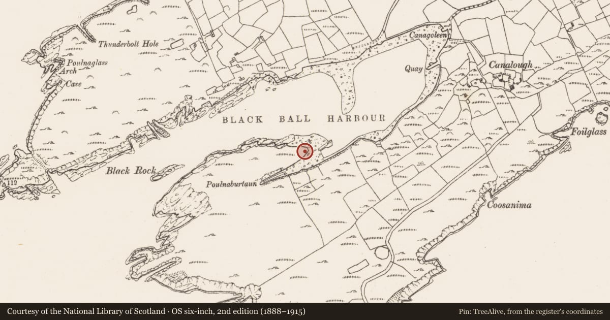 Ordnance Survey six-inch map, 2nd edition (1888–1915) covering the location of Hut site, Canalough, County Cork, with a pin at the register's coordinates