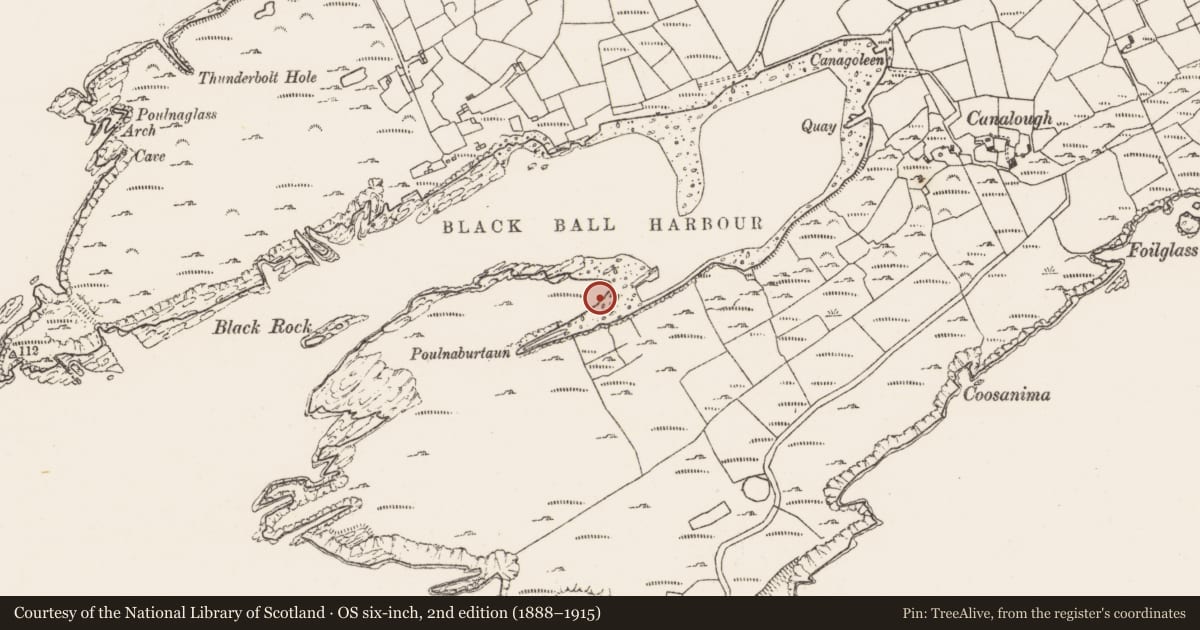 Ordnance Survey six-inch map, 2nd edition (1888–1915) covering the location of Hut site, Canalough, County Cork, with a pin at the register's coordinates