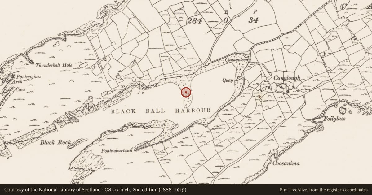 Ordnance Survey six-inch map, 2nd edition (1888–1915) covering the location of Breakwater, Loughane Beg, County Cork, with a pin at the register's coordinates