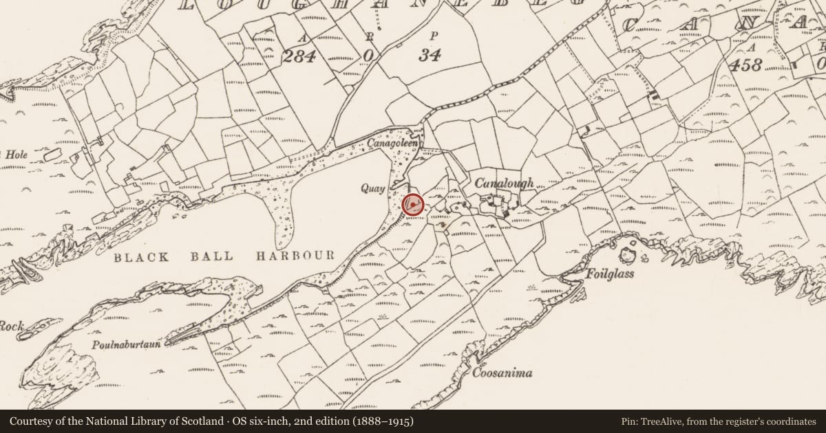Ordnance Survey six-inch map, 2nd edition (1888–1915) covering the location of Megalithic structure, Canalough, County Cork, with a pin at the register's coordinates