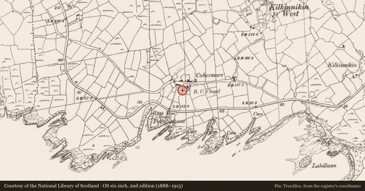 Ordnance Survey six-inch map, 2nd edition (1888–1915) covering the location of Ringfort - cashel, Kilkinnikin West, County Cork, with a pin at the register's coordinates