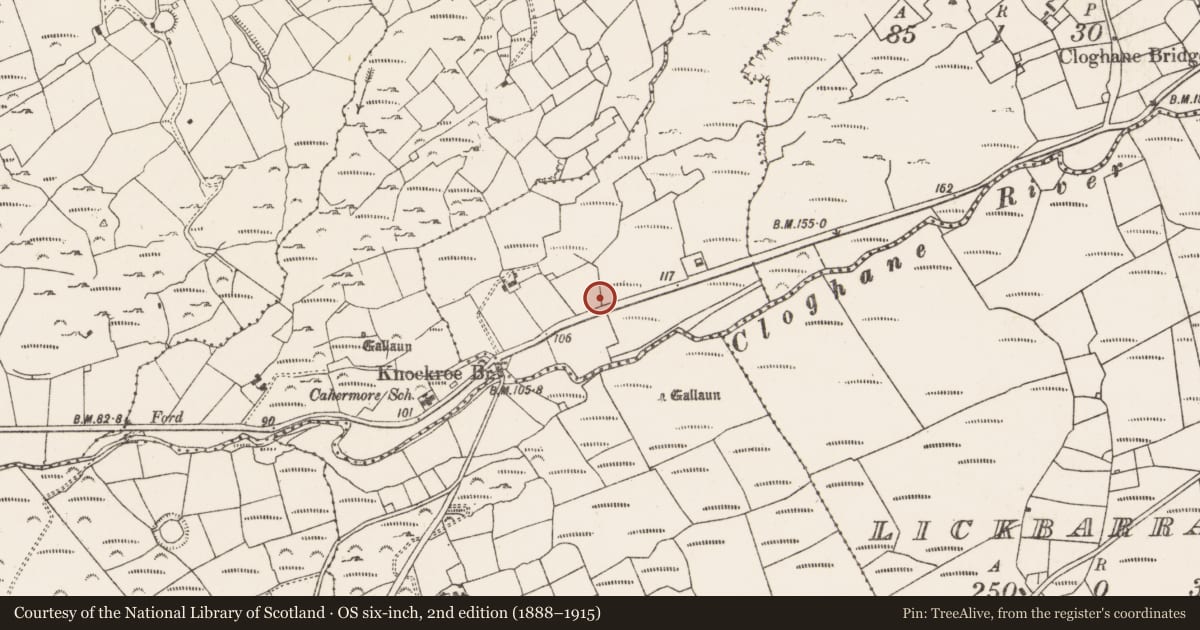 Ordnance Survey six-inch map, 2nd edition (1888–1915) covering the location of Ringfort - rath, Knockroe East, County Cork, with a pin at the register's coordinates