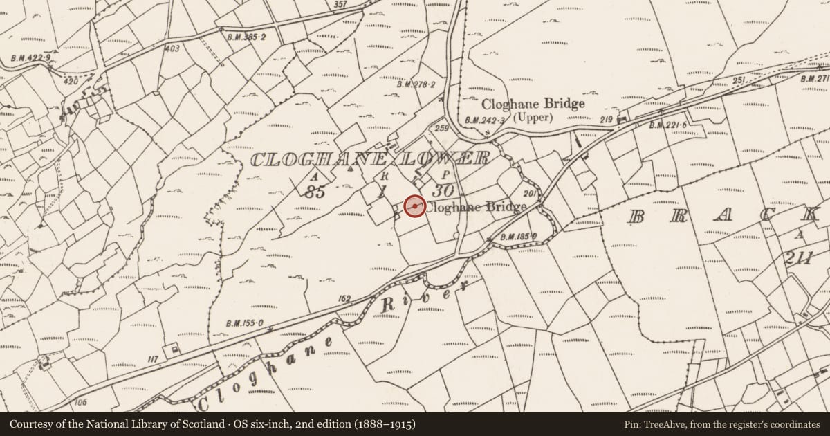 Ordnance Survey six-inch map, 2nd edition (1888–1915) covering the location of Standing stone, Cloghane Lower, County Cork, with a pin at the register's coordinates