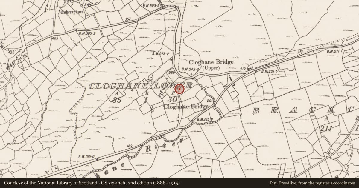 Ordnance Survey six-inch map, 2nd edition (1888–1915) covering the location of Ringfort - rath, Cloghane Lower, County Cork, with a pin at the register's coordinates
