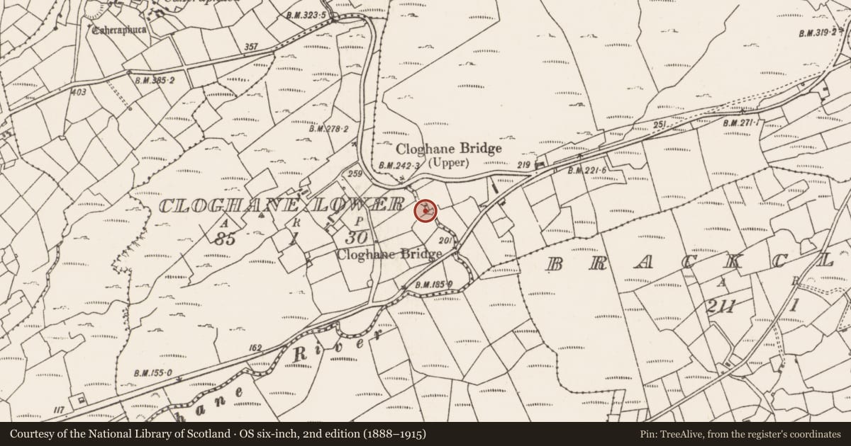 Ordnance Survey six-inch map, 2nd edition (1888–1915) covering the location of Bullaun stone, Garranes, County Cork, with a pin at the register's coordinates