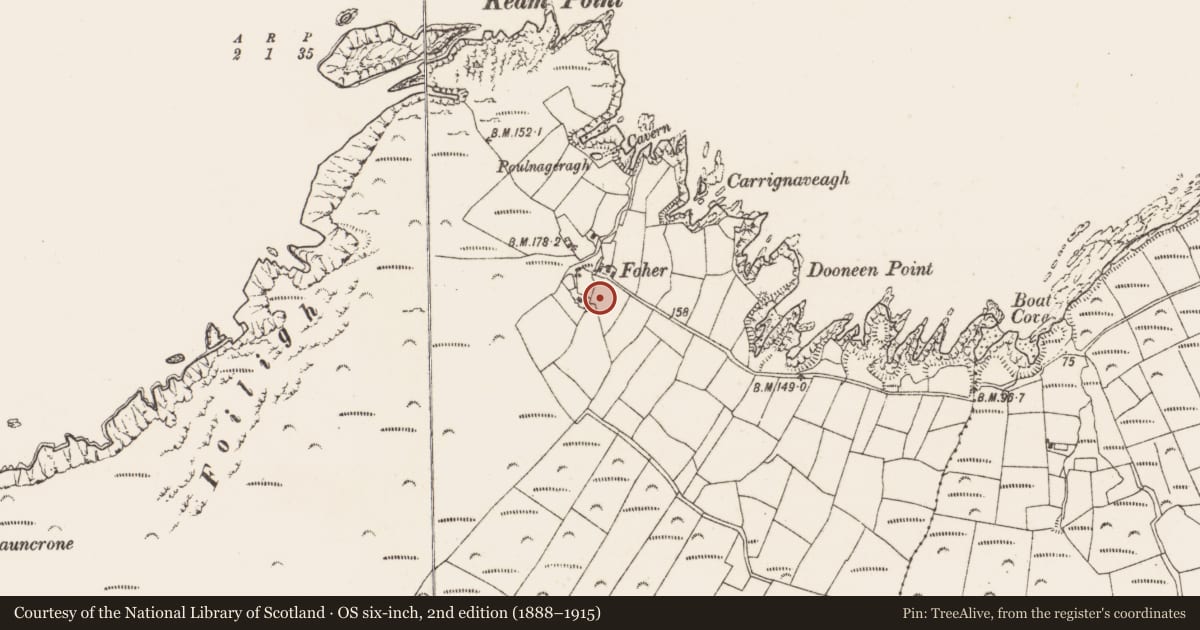 Ordnance Survey six-inch map, 2nd edition (1888–1915) covering the location of Standing stone, Cloghfune, County Cork, with a pin at the register's coordinates