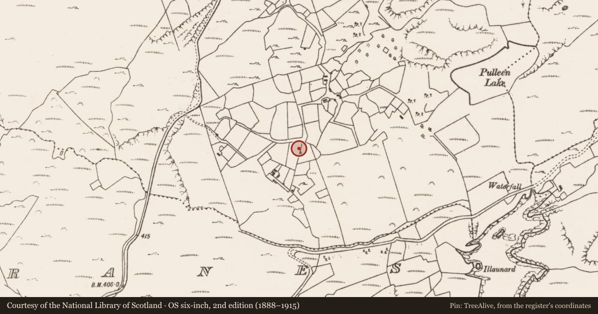 Ordnance Survey six-inch map, 2nd edition (1888–1915) covering the location of Burial, Gour, County Cork, with a pin at the register's coordinates
