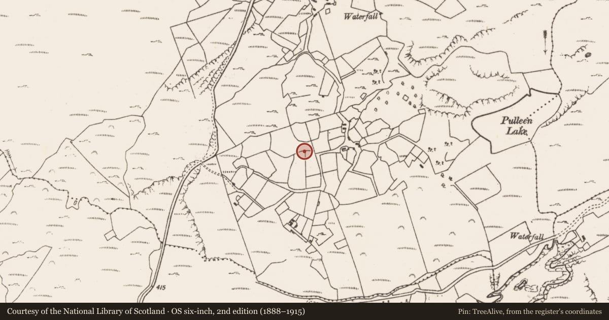 Ordnance Survey six-inch map, 2nd edition (1888–1915) covering the location of Ringfort - rath, Gour, County Cork, with a pin at the register's coordinates