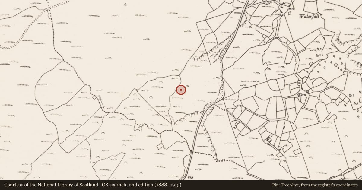 Ordnance Survey six-inch map, 2nd edition (1888–1915) covering the location of Hut site, Gour, County Cork, with a pin at the register's coordinates