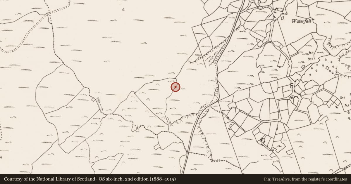 Ordnance Survey six-inch map, 2nd edition (1888–1915) covering the location of Standing stone, Gour, County Cork, with a pin at the register's coordinates