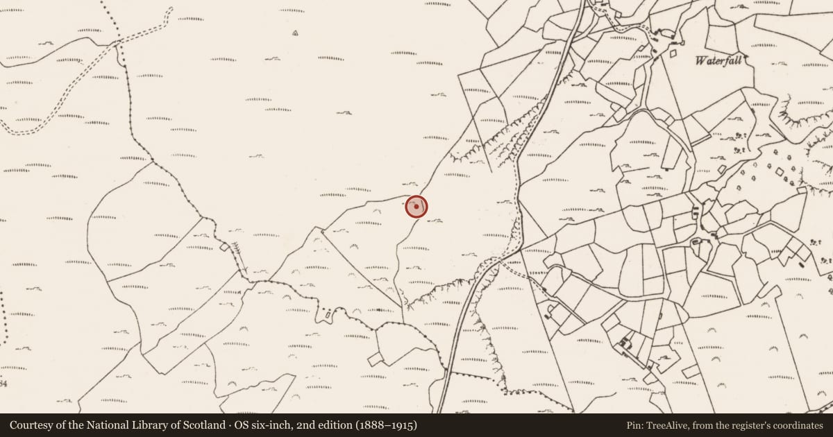 Ordnance Survey six-inch map, 2nd edition (1888–1915) covering the location of Enclosure, Gour, County Cork, with a pin at the register's coordinates